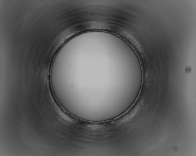 X0000102261033200808081356