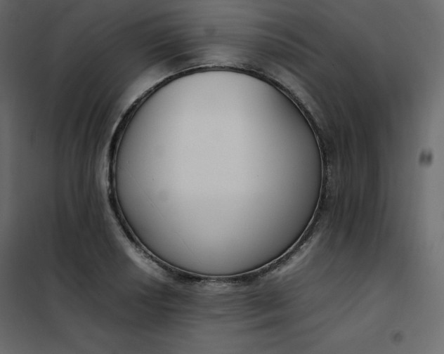 X0000102261034200808081356