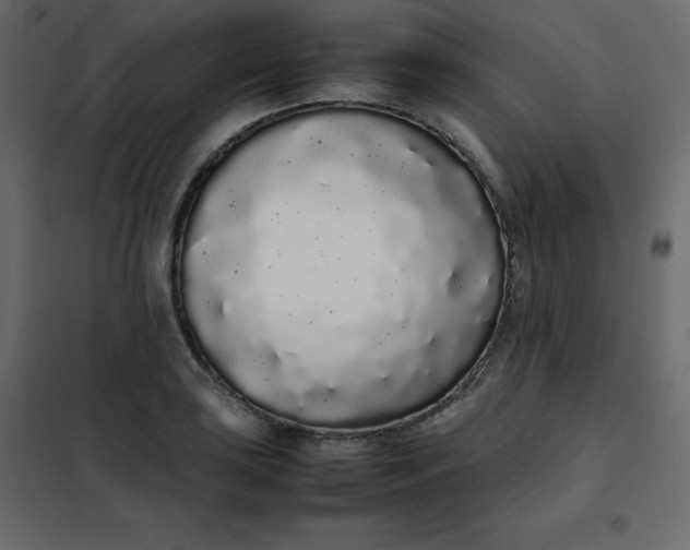 X0000102261035200808081356