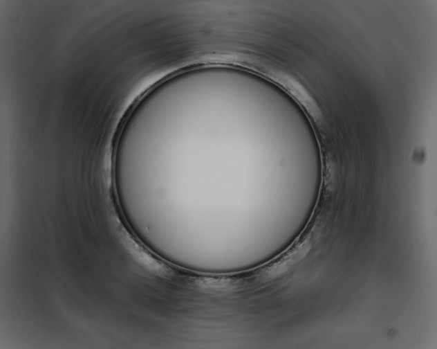 X0000102261036200808081356