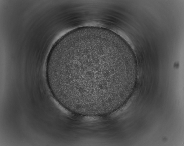 X0000102261037200808081356