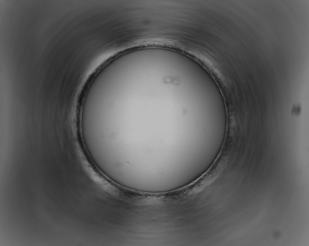 X0000102261038200808081356