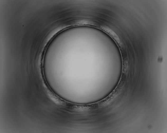 X0000102261039200808081356