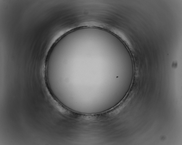 X0000102261040200808081356