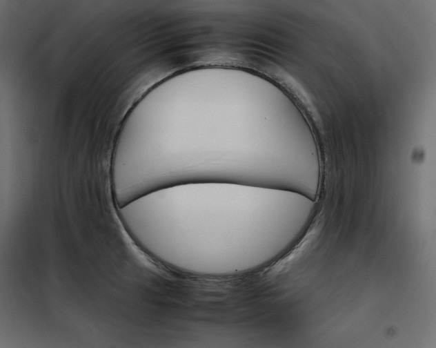 X0000102261041200808081356