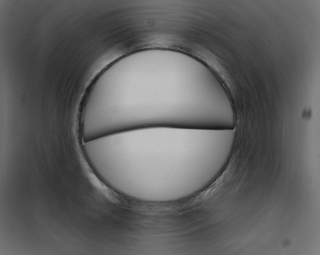 X0000102261042200808081356