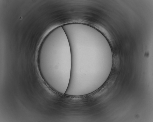 X0000102261043200808081356