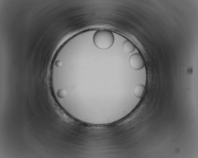 X0000102261044200808081356