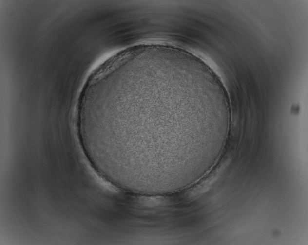 X0000102261045200808081356