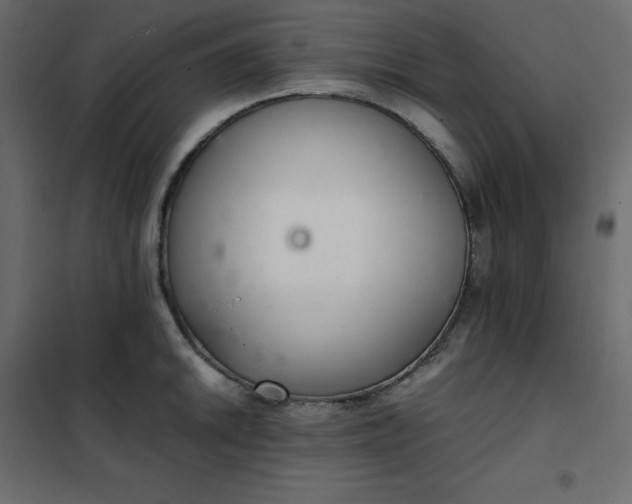 X0000102261046200808081356