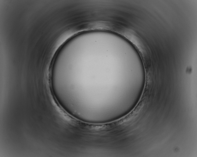 X0000102261047200808081356