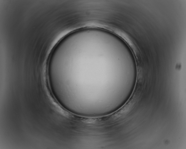 X0000102261048200808081356