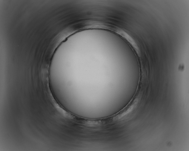 X0000102261049200808081356