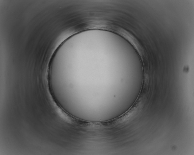 X0000102261050200808081356