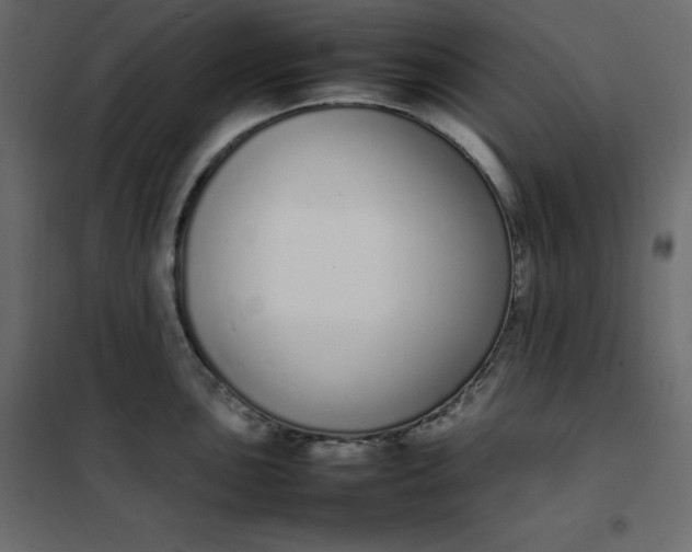 X0000102261051200808081356