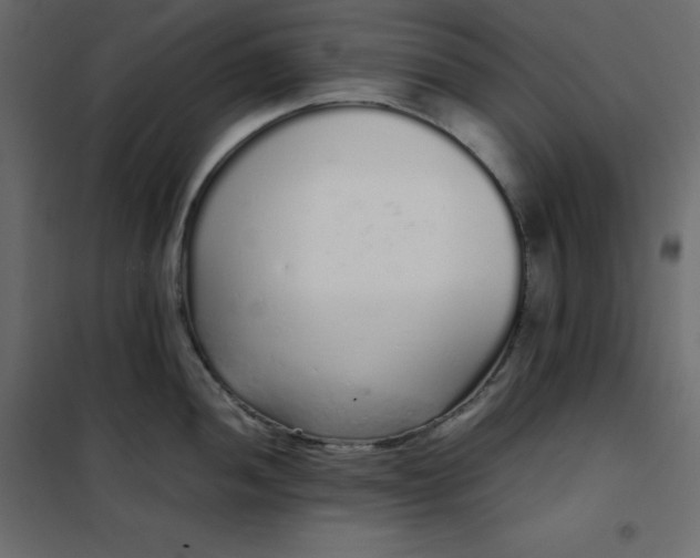 X0000102261052200808081356