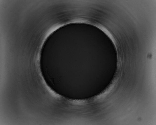 X0000102261053200808081356