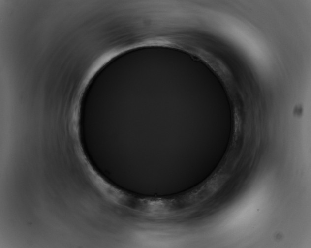 X0000102261054200808081356