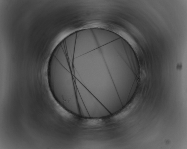 X0000102261055200808081356