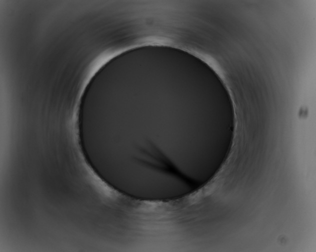 X0000102261056200808081356