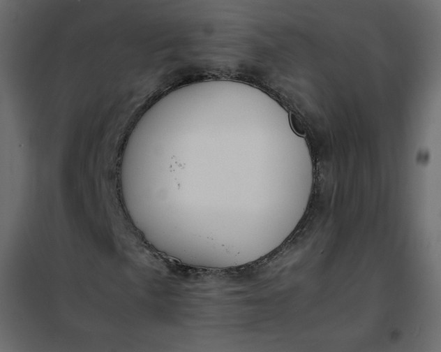 X0000102261057200808081355