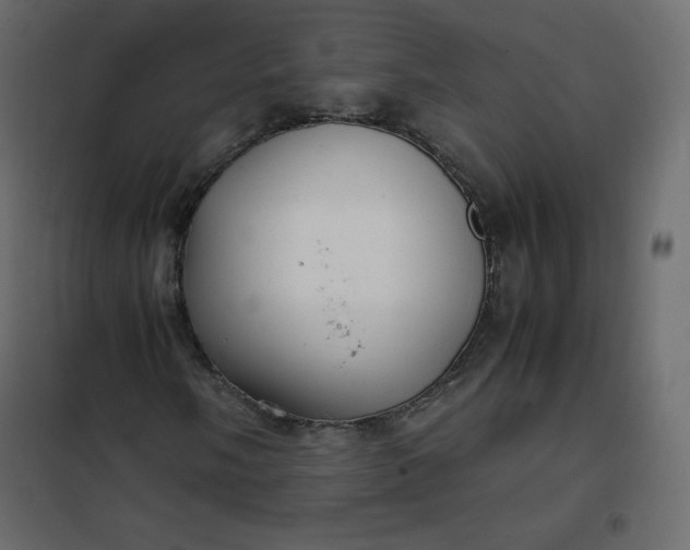 X0000102261058200808081355