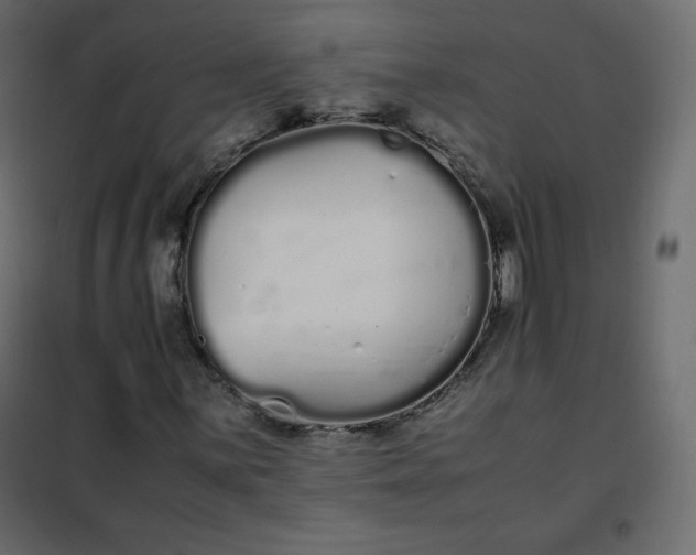 X0000102261059200808081355