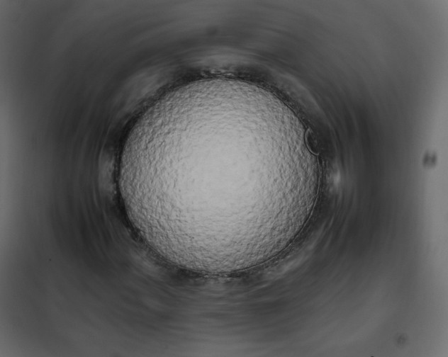 X0000102261060200808081355