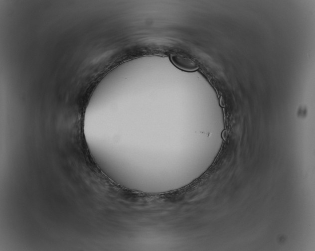 X0000102261061200808081355