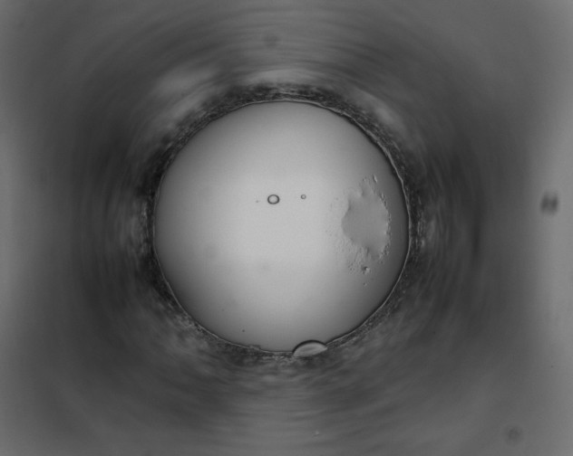 X0000102261062200808081355