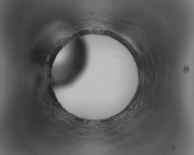 X0000102261063200808081355