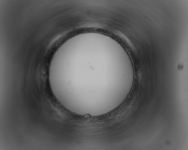 X0000102261064200808081355