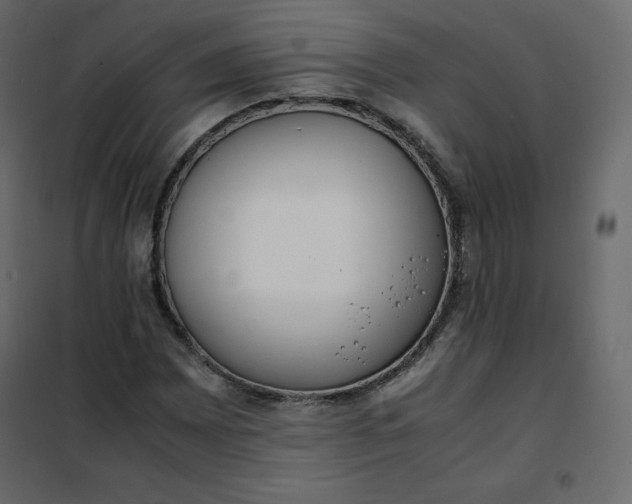 X0000102261065200808081355