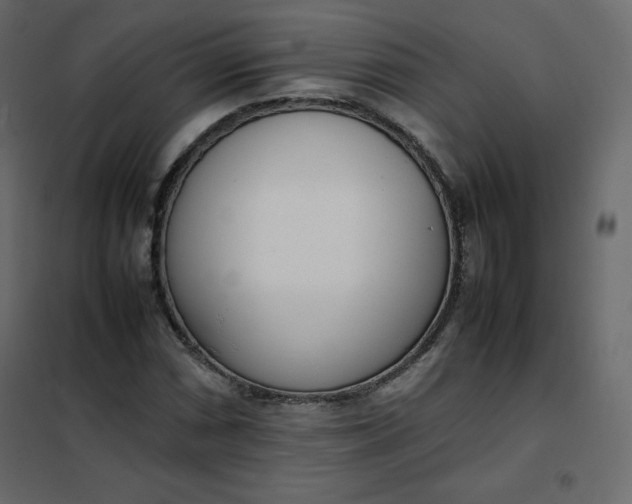 X0000102261066200808081355