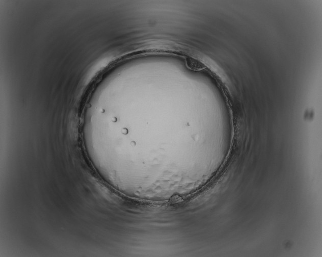 X0000102261067200808081355