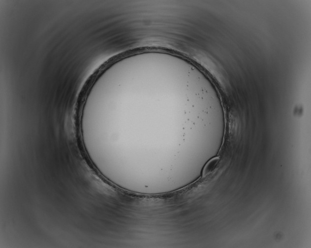 X0000102261068200808081355