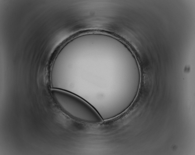 X0000102261069200808081355