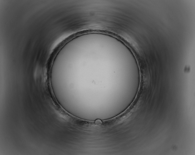 X0000102261070200808081355