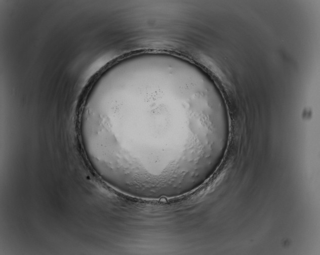 X0000102261071200808081355