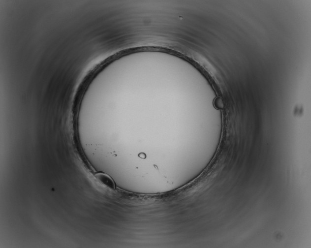 X0000102261072200808081355