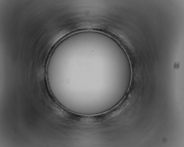 X0000102261073200808081355