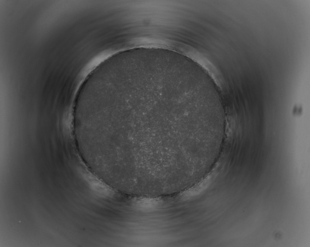 X0000102261074200808081355