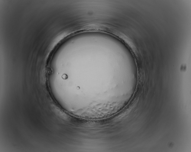 X0000102261075200808081355