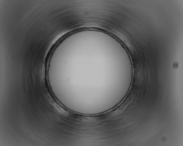 X0000102261076200808081355