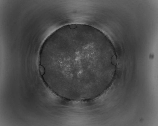 X0000102261077200808081355