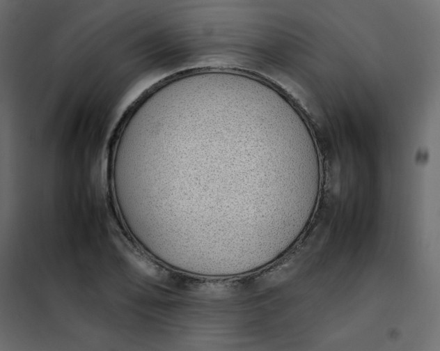 X0000102261078200808081355