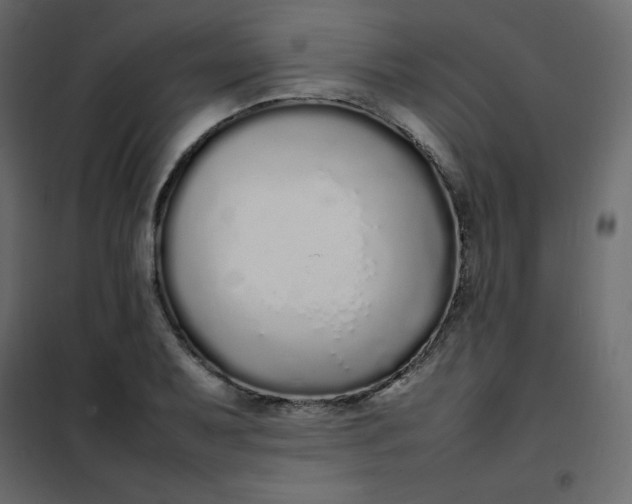 X0000102261079200808081355