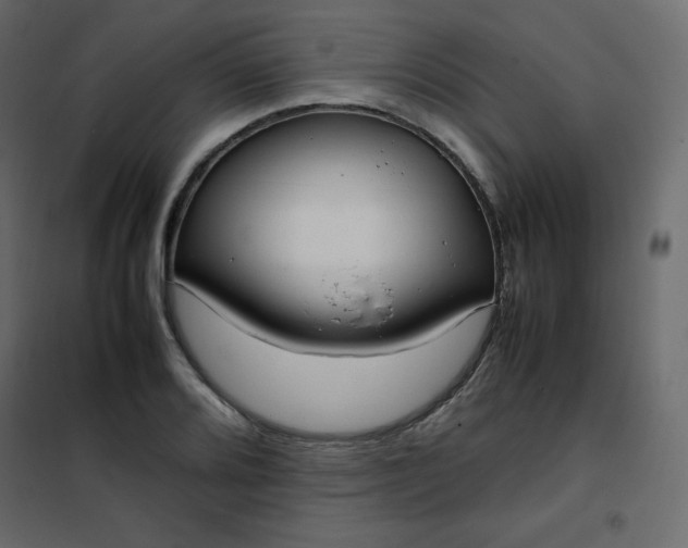 X0000102261080200808081355