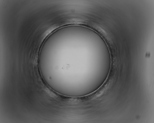 X0000102261081200808081355