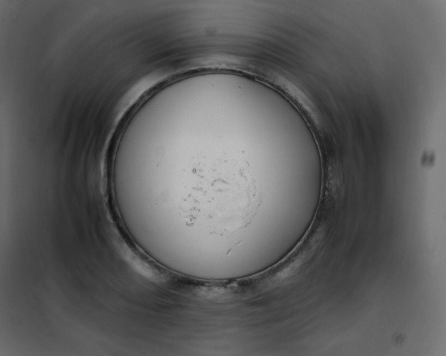 X0000102261082200808081355